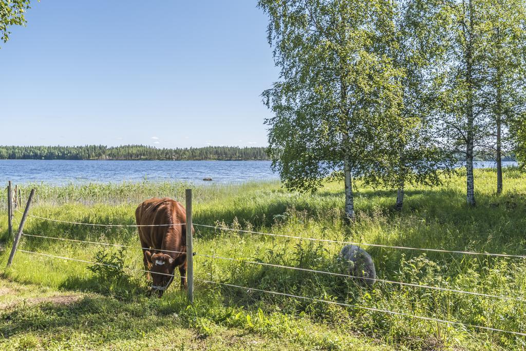 Hyvoelaen Talo Bed & Breakfast Ähtäri Екстериор снимка